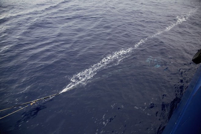 once and future fish